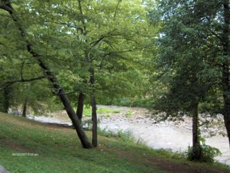 View of the river